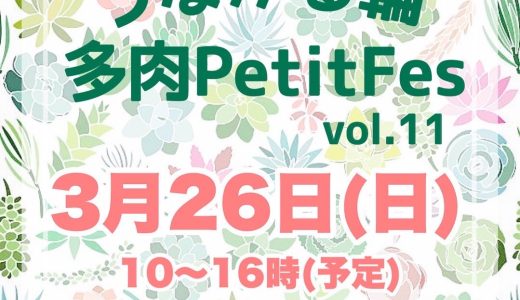 2023年３月26日(日)【つながる輪多肉 petit fes vol.11】が開催されます！